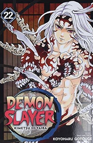 Demon Slayer 22