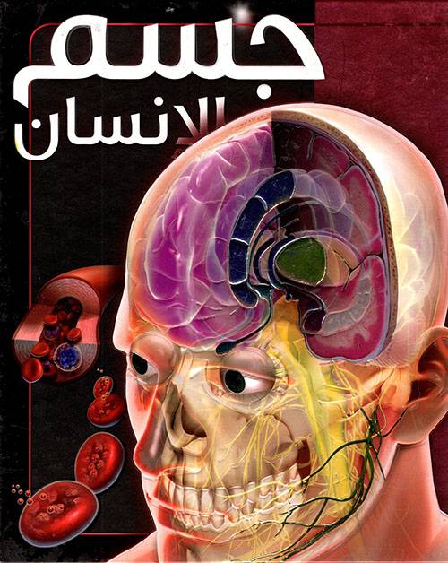 جسم الإنسان