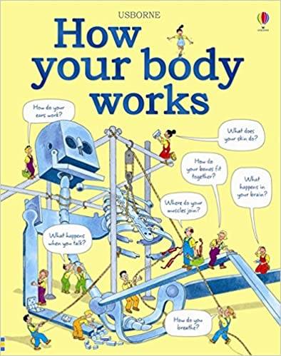 How Your Body Works