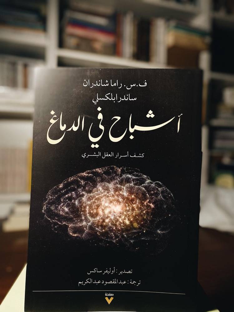 أشباح في الدماغ