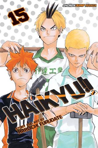 Haikyu 15/ Haruichi Furudate