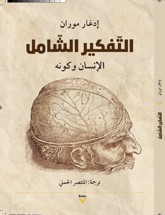 التفكير الشامل