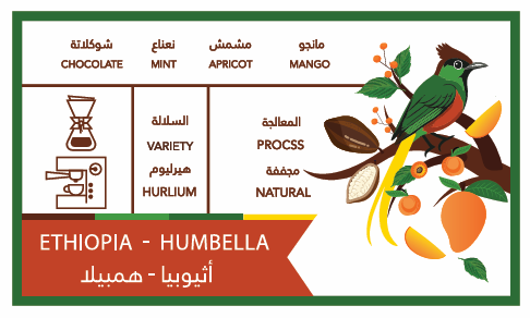 اثيوبيا - همبيلا