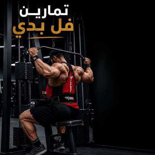 تمارين | فل بدي 