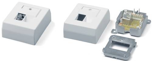 مقبس RJ-45  فئة 6 ، مثبت على الحائط
