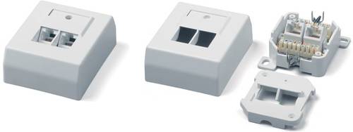 مقبس RJ-45 ، مزدوج ، فئة 6 ، مثبت على الحائط