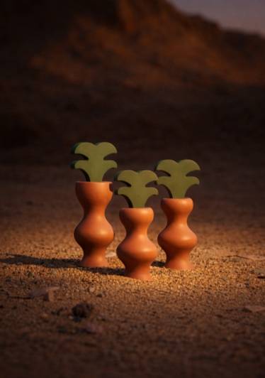 مجموعة نخلات سعفة - SAAFAH Palms Collection 