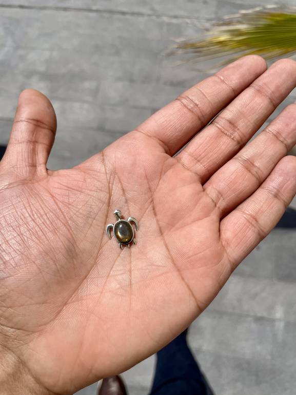 Golden obsidian mini Turtle