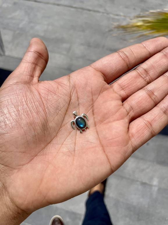 Labradorite mini Turtle 