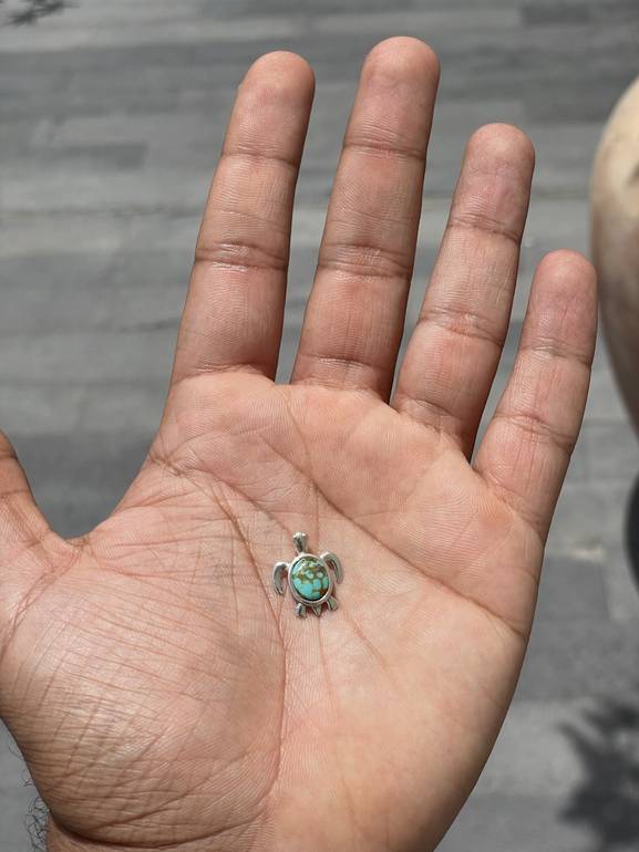 Turquoise mini Turtle