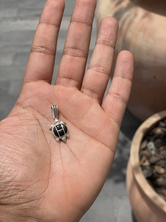 Black Onyx Turtle 
