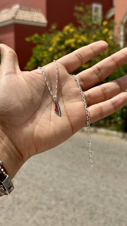 Seeds of Palestine