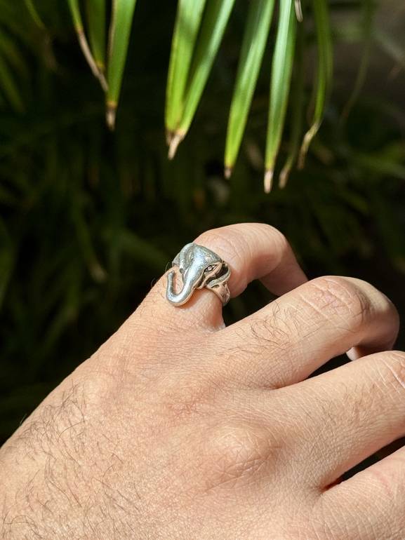 Eleora Ring