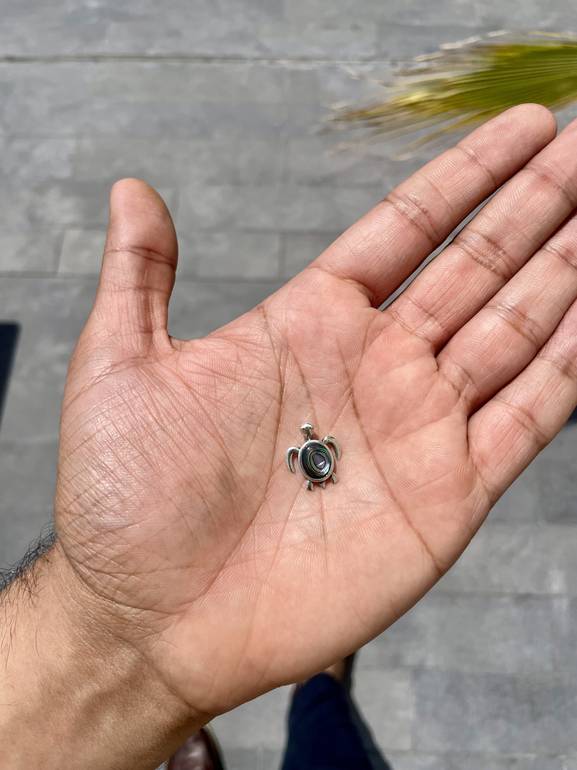 Seashell mini Turtle