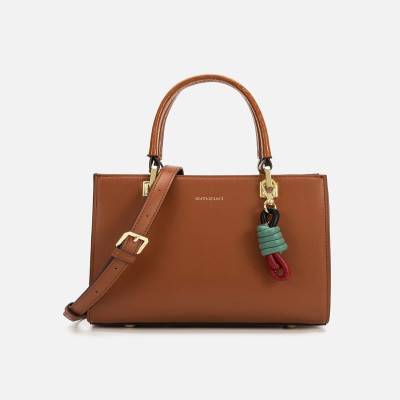Brown classic women's bag