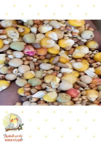 علف مشكل للحمام تعبئة 1 كيلو