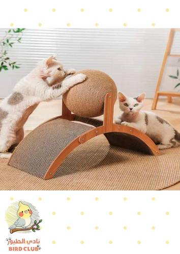 خداشة كرتونية لعبة للقطط مع كرة للخدش PET-052