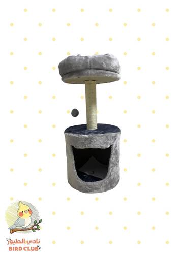 خداشة متوسطة للقطط مع بيت