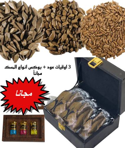 مجموعة شتوية رمضان