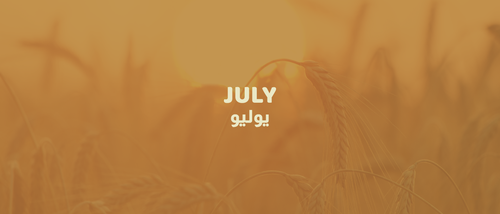 فيلا فيليج