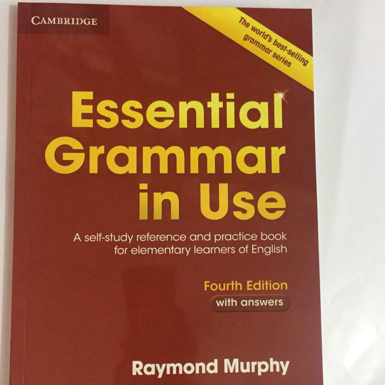 essential grammar in use 4th edition
