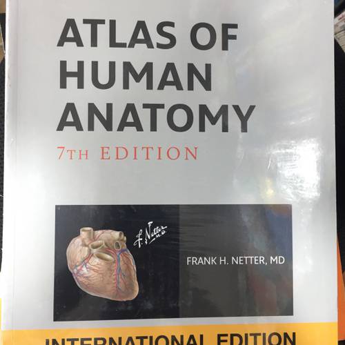 atlas of human anatomy 7th edition