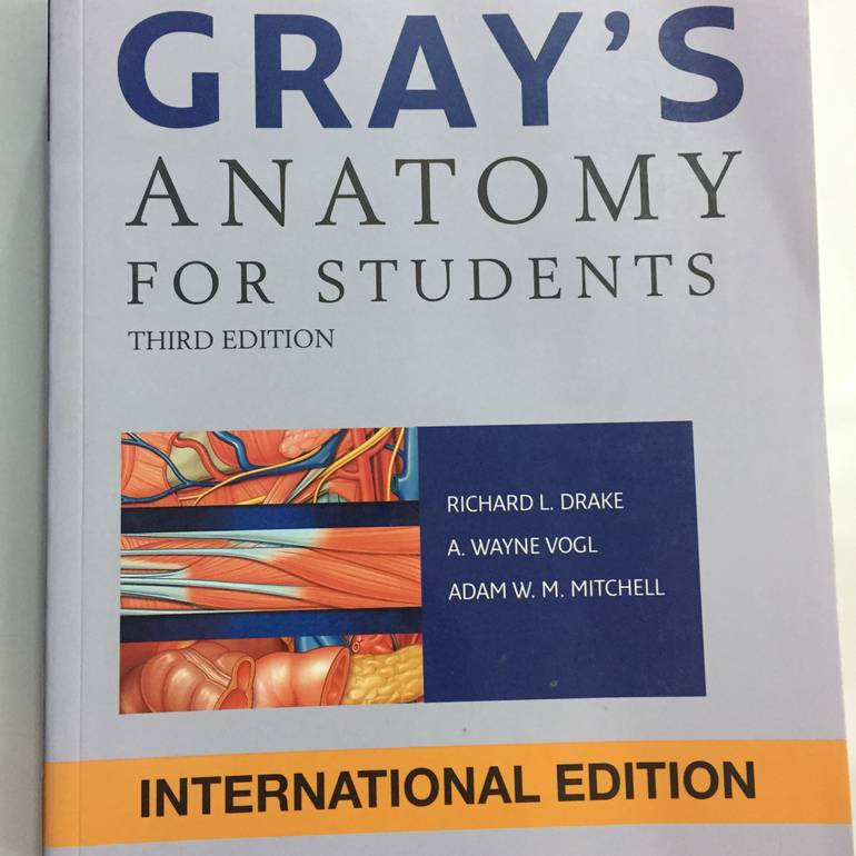 gray’s anatomy for students 3th edition