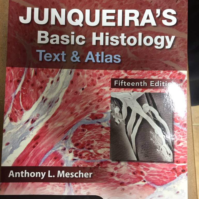 junqueira’s basic histology text & atlas 15th edition