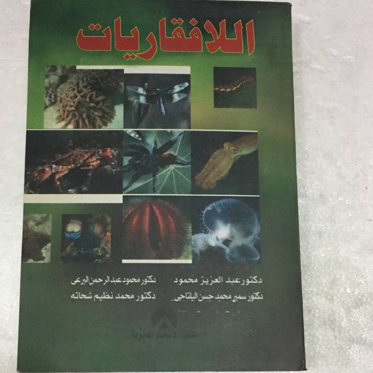 اللافقاريات