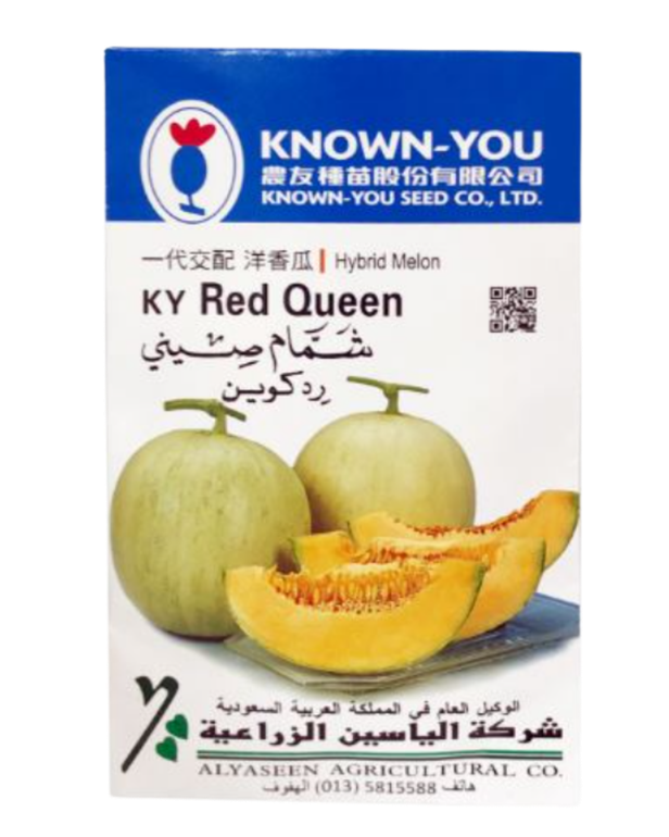 شمام ردكوين هجين