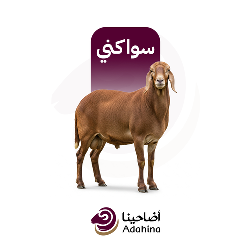خروف
