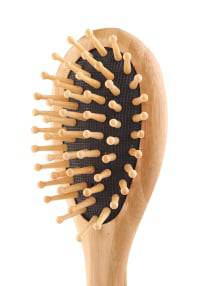 روز ارزما فرشاة شعر 4713  