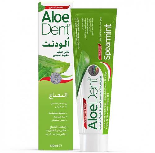 معجون الودنت 100جم نعناع  