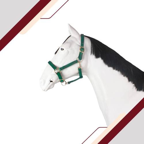 راسية بايوتين