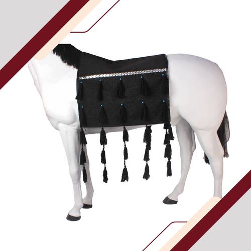 خرج خيل 