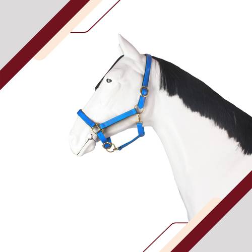 راسية بايوتين