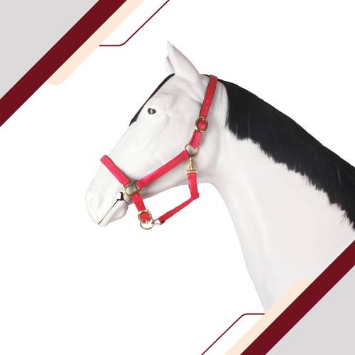 راسية بايوتين