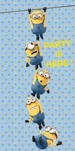 Minion Door Banner