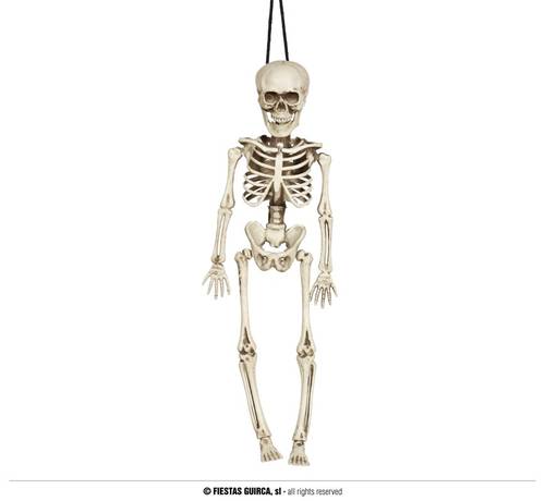 Skeleton 40 Cm