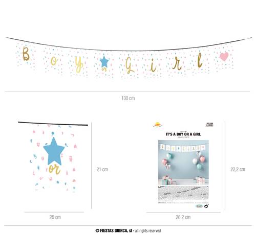 It'S A Boy Or A Girl Pennant