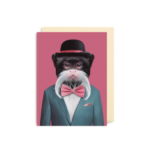 Emperor Tamarin - Saguinus Imperator