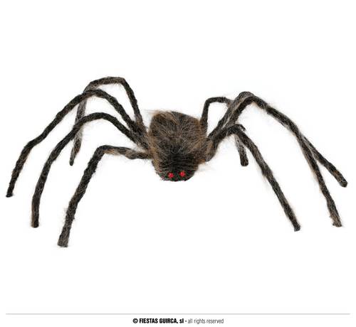 Brown Spider
