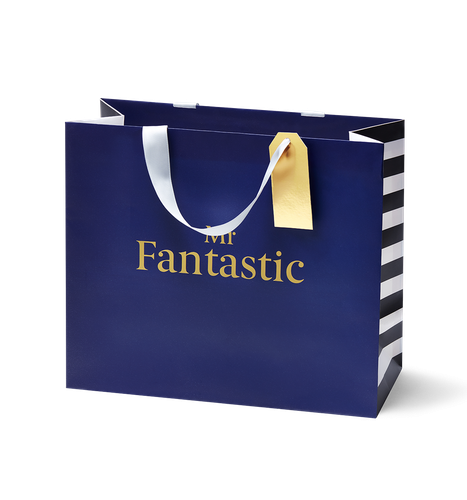 Large - Mr Fantastic