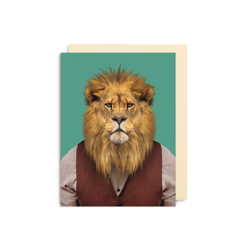 Lion - Panthera Leo