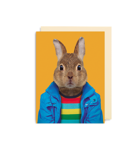 European Rabbit - Oryctolagus Cuniculu