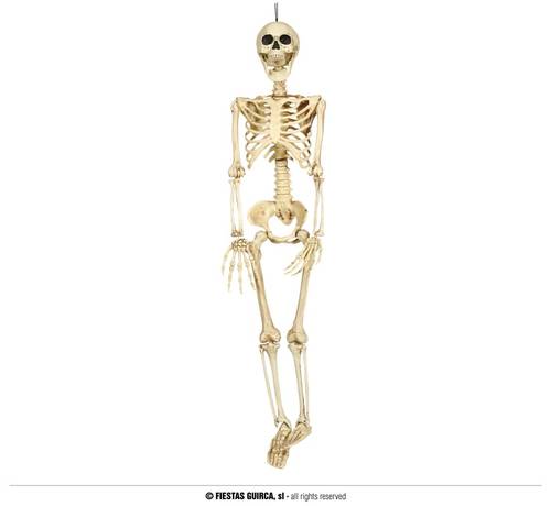 Skeleton 90 Cm