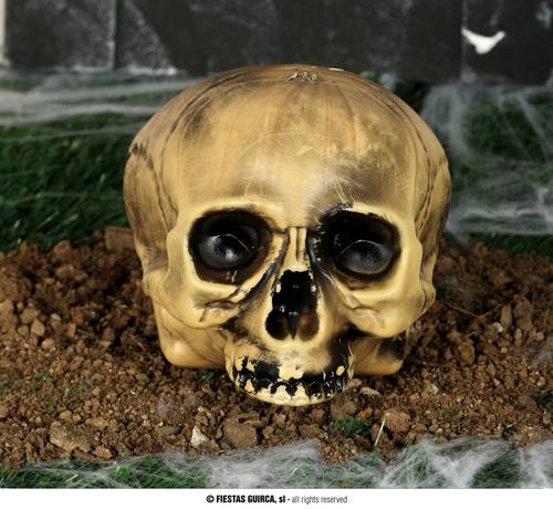Chin Less Plastic Skull 