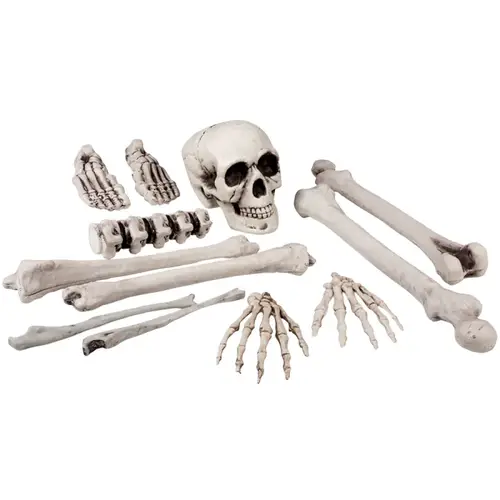 Set 12 pieces Skull & bones (40 cm)