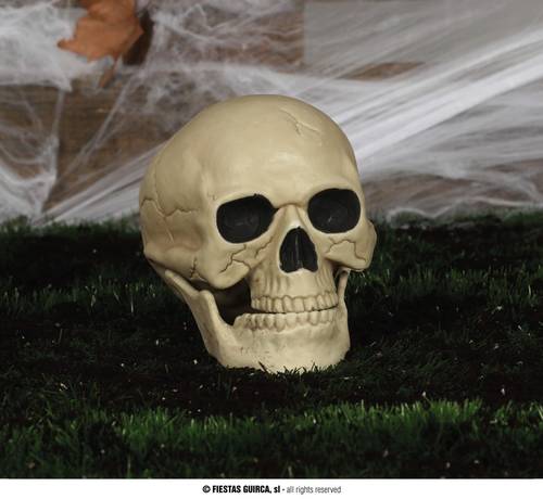 Skull 20 Cm