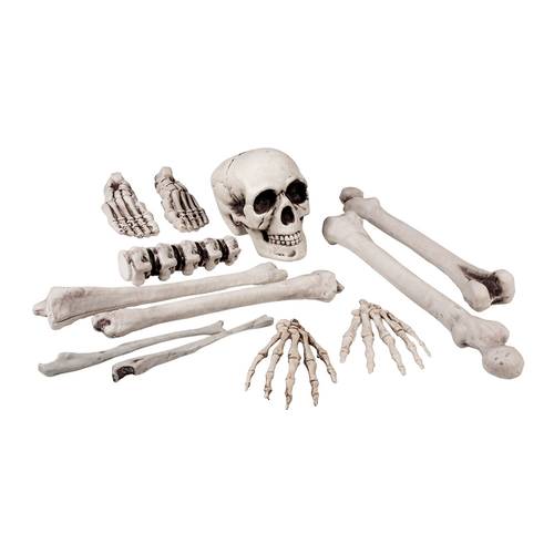 Set 12 Pieces Skull & Bones